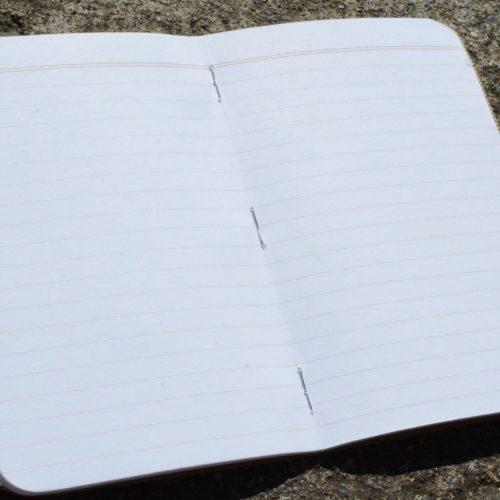 Field Notes Kraft Ruled Paper (3 Pack) All Day Ruckoff